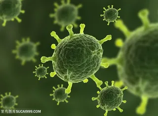 细菌超级细菌病毒