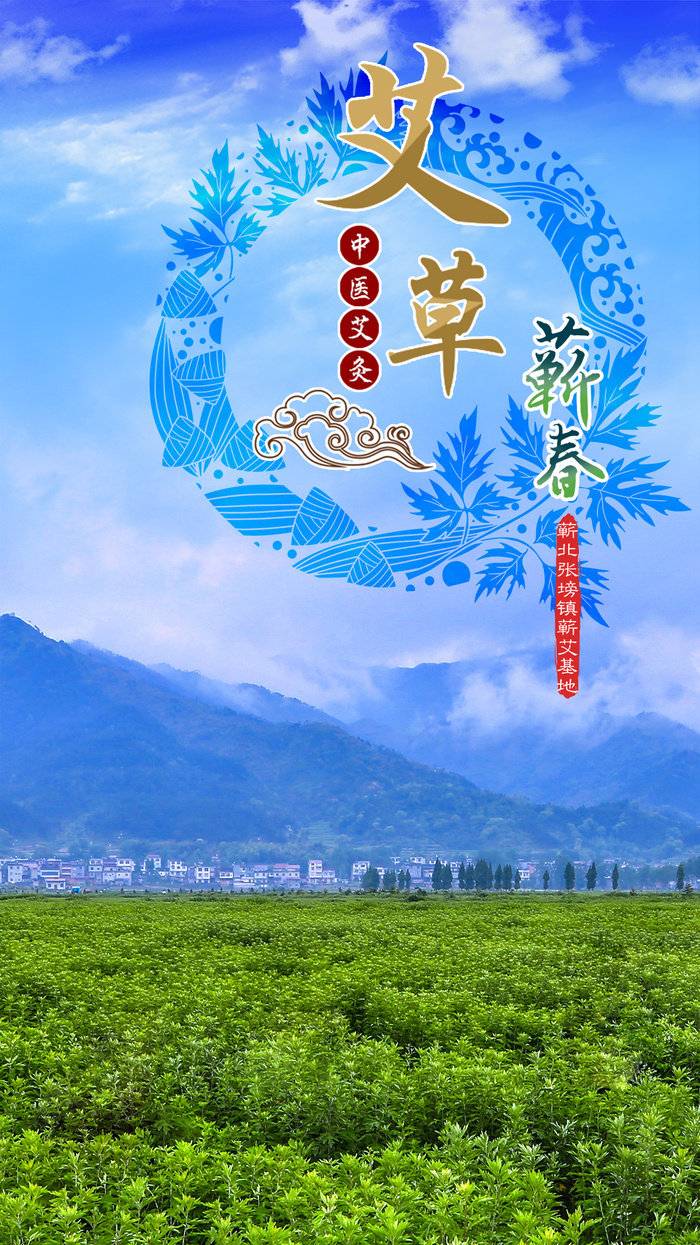 艾灸艾草中医文化海报psd模版下载