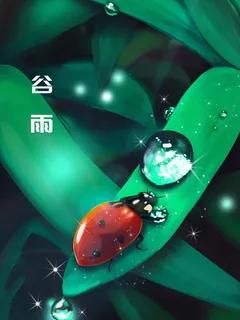 谷雨海报二十四节气插画