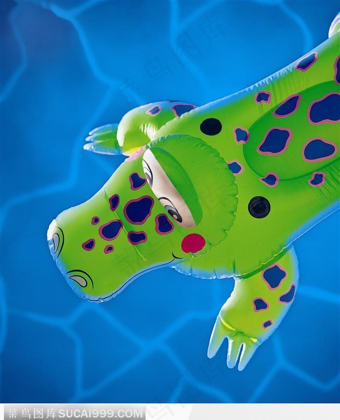 漂浮在水面上的鳄鱼