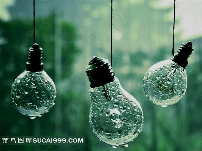 雨中的灯泡图片下载