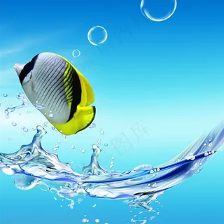 水花鱼摄影素材 水花鱼摄影素材