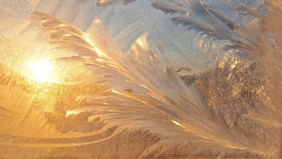 冬天, 模式, 冻结, 设计, 圣诞节