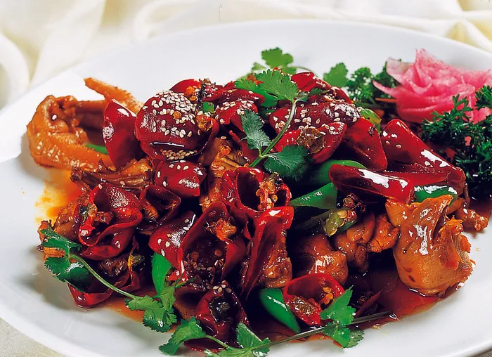 95C-255天府大盘鸡