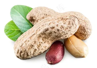 新鲜美味可口的红皮花生高清图