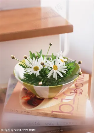 家俱饰品-放在书本上的碗里花朵
