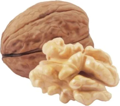 核桃 PNG免抠(418x368)