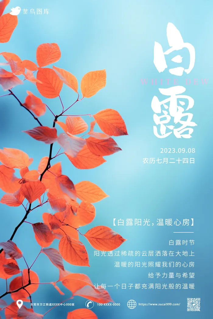 节气-白露海报ai矢量模版下载