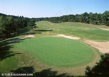 体育运动-森林中的高尔夫球场
