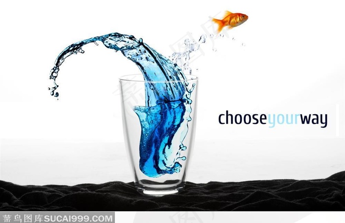 鱼缸 鱼儿飞出来了和溅出的水