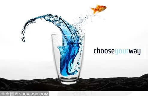 鱼缸 鱼儿飞出来了和溅出的水