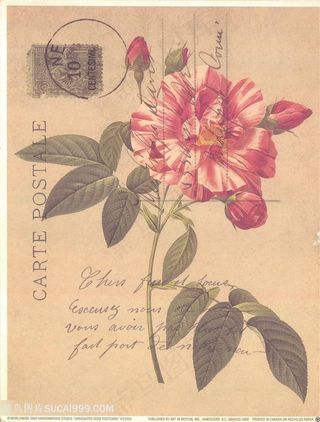 欧式花与蝴蝶装饰画