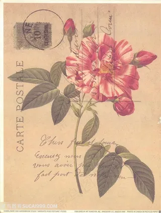 欧式花与蝴蝶装饰画