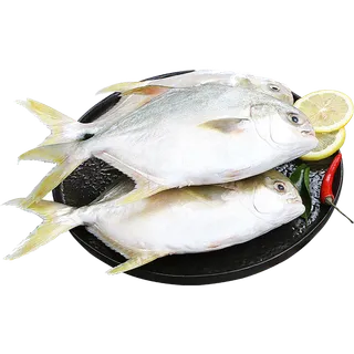 金昌鱼海鲜超市商品红酒白底图免抠实物摄影png格式图片透明底