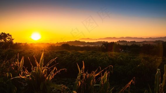 清晨日出景观图片
