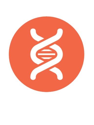DNA免抠(650x863)