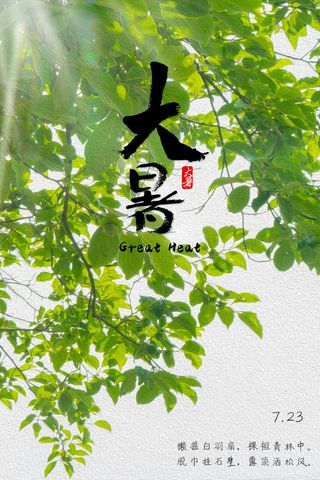 二十四节气大暑海报