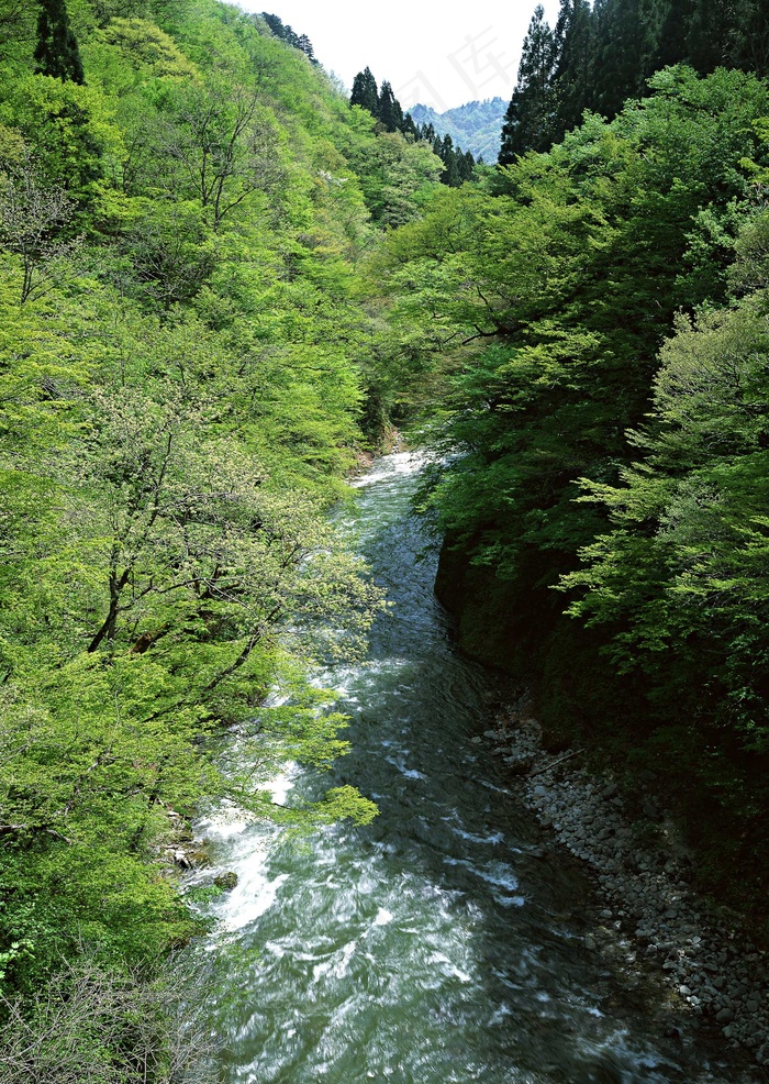 绿树山水 205