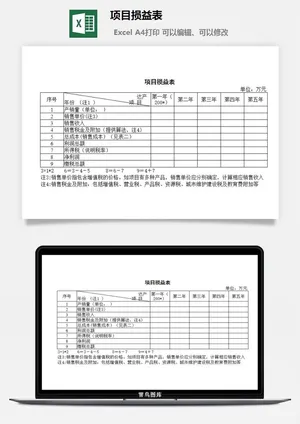项目损益表excel模板预览图