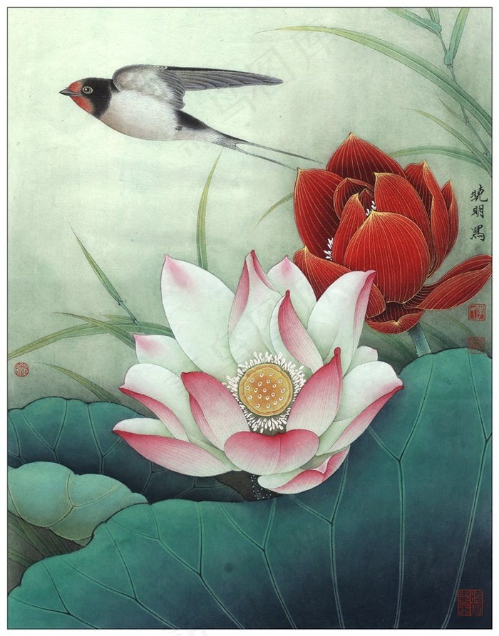 燕舞和风荷花工笔画