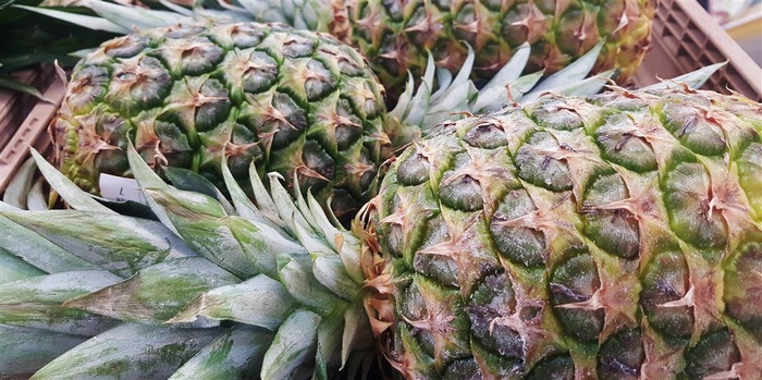 菠萝高清特写素材