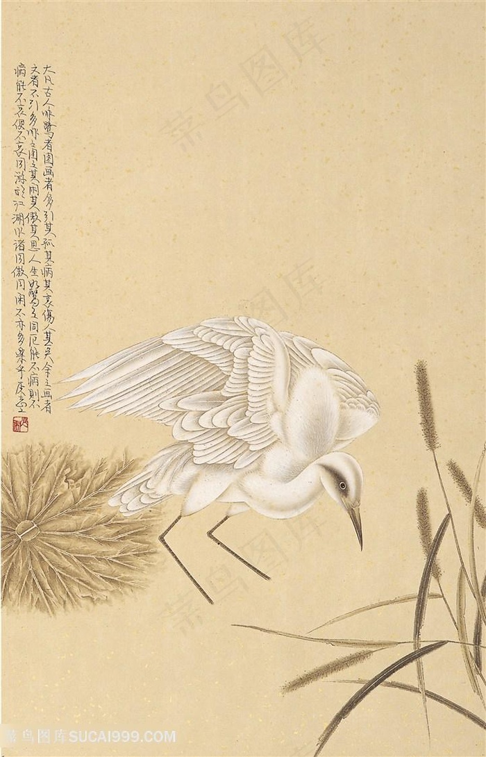 飞鸟植物复古装饰画