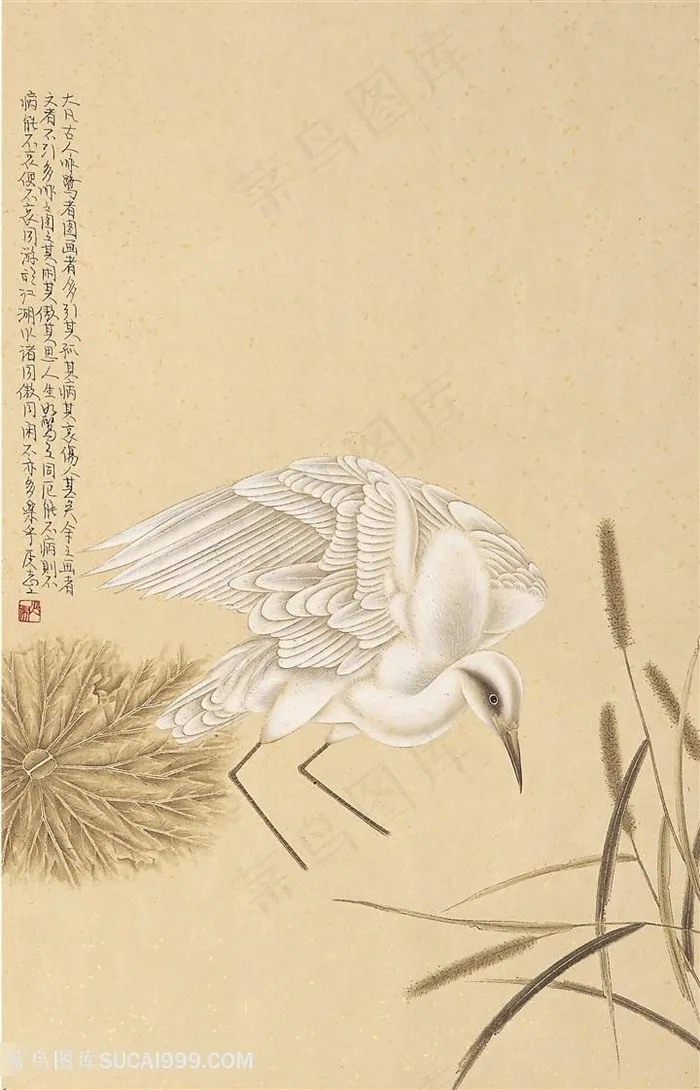 飞鸟植物复古装饰画
