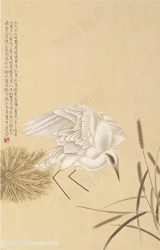 飞鸟植物复古装饰画