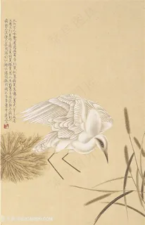 飞鸟植物复古装饰画 飞鸟植物复古装饰画