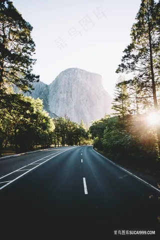 晨曦树林山峰公路图片