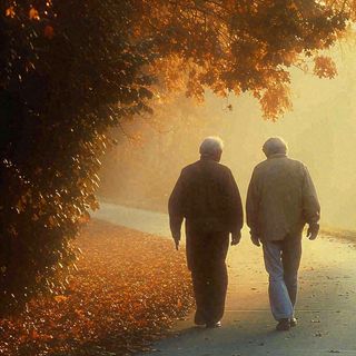 父母年长老人父亲节母亲节温馨落日背影