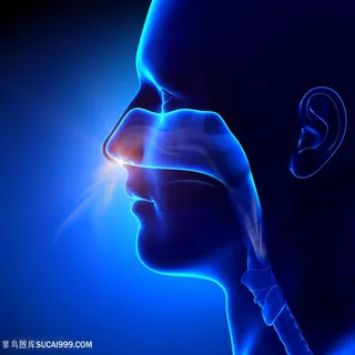 人物面部器官医疗主题高清 人物面部器官医疗主题高清