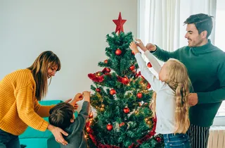 圣诞节室内人物一家人装饰圣诞树场景圣诞(152)