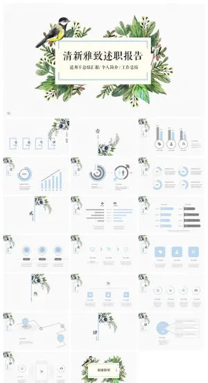 述职报告总结精美ppt模板预览图