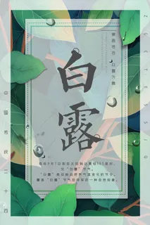 创意中国风白露节传统节气海报