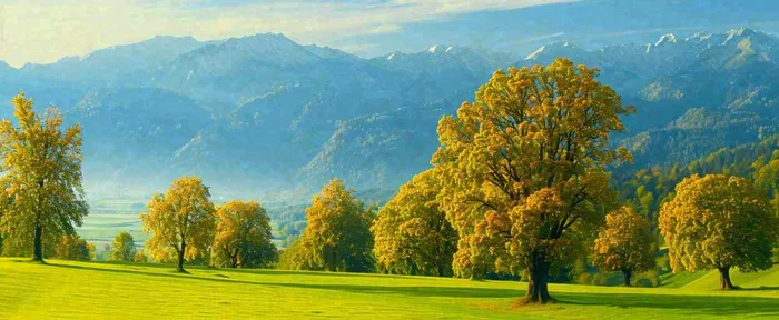 秋天山脉秋叶树木，秋分摄影图(1712x704)