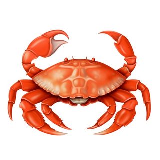 螃蟹免抠