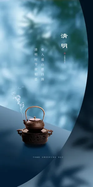 清明节国潮风节气海报