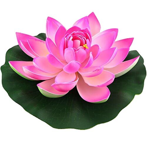 莲花 PNG免抠(500x500)