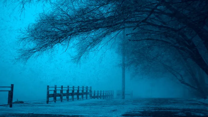 夜晚下雪的图片