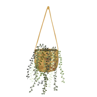 植物 绞刑 树叶 首页 小的 厨房 房间 设计 花