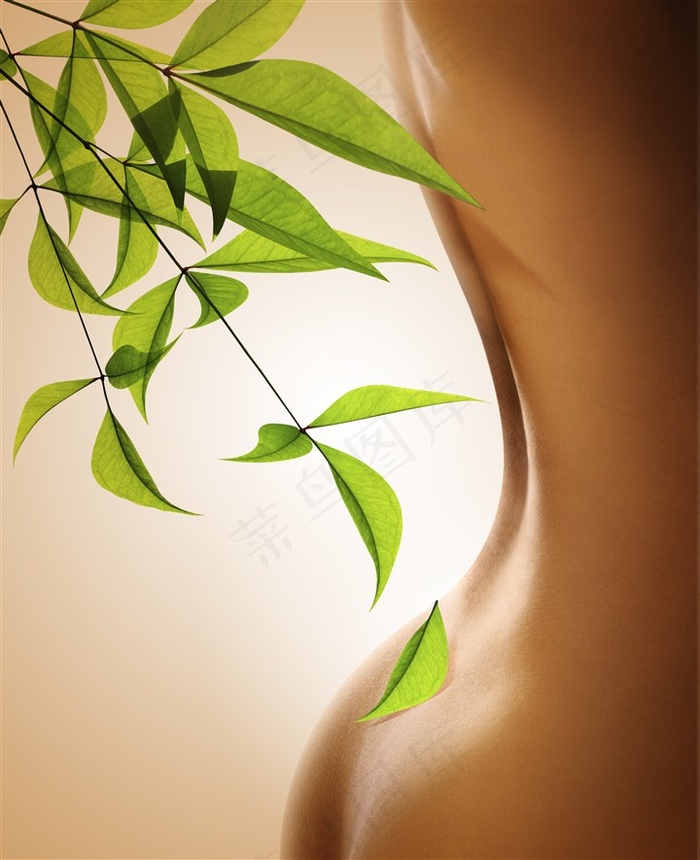 性感美女背部与树叶