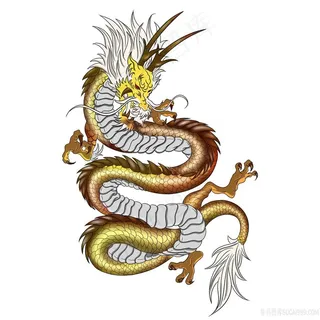 立体手绘插画龙图片