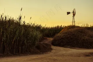 乡村田野小路图片