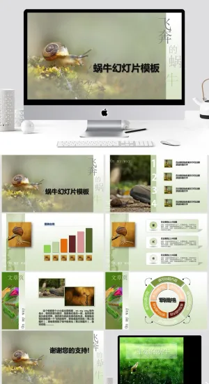 蜗牛清新通用PPT模板预览图