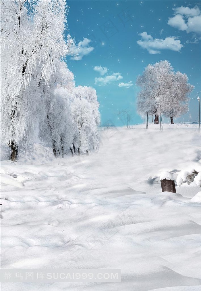 雪地树林摄影背景图片