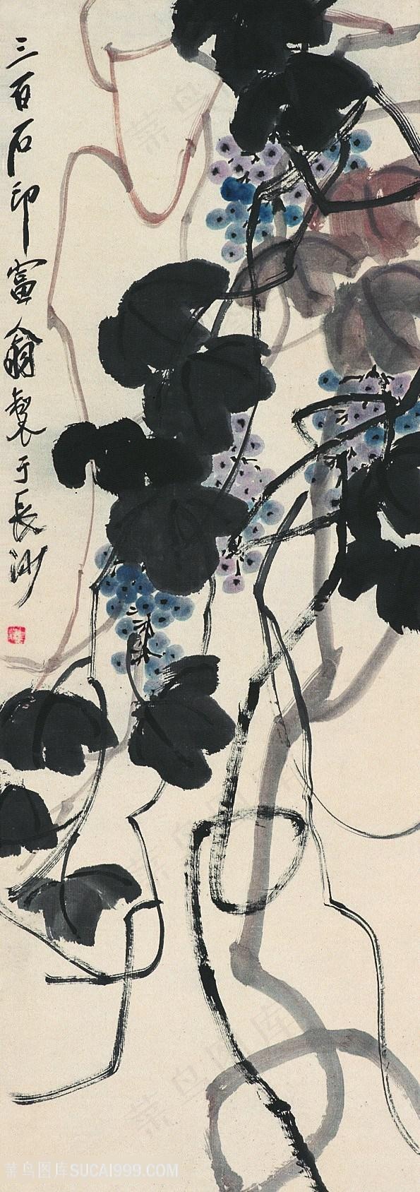 齐白石葡萄植物国画图片