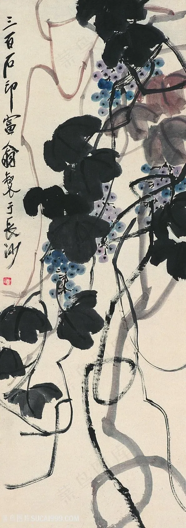 齐白石葡萄植物国画图片