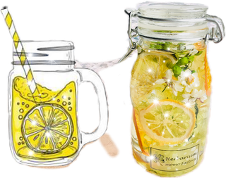 玻璃瓶柠檬汁透明