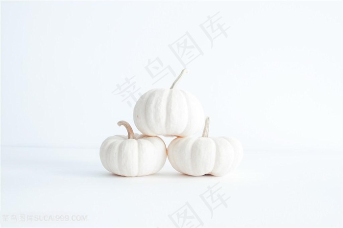新鲜白色南瓜图片